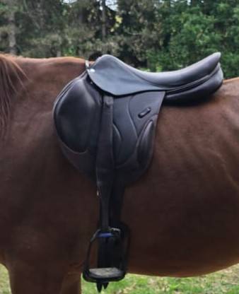 Selle chiberta o