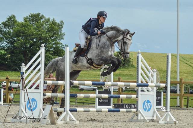 Hongre de 8 ans pur-sang anglais 