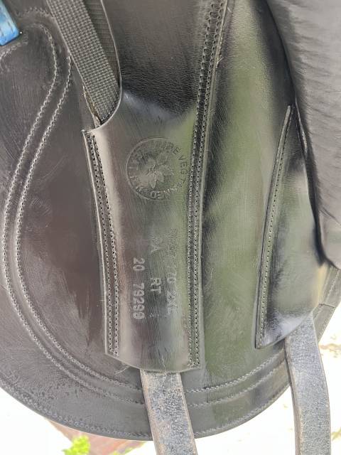 Selle dressage cwd se37