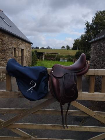 Selle antares dressage