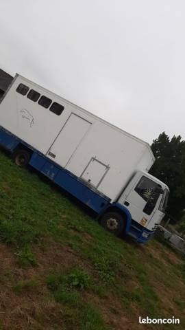 Camion chevaux