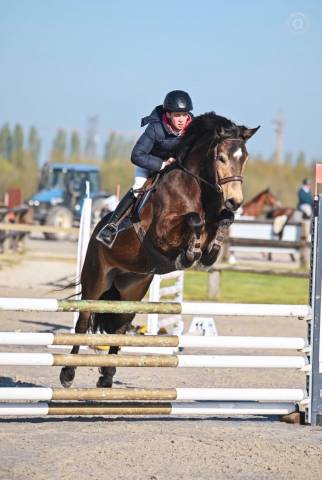 Poney loisir cso