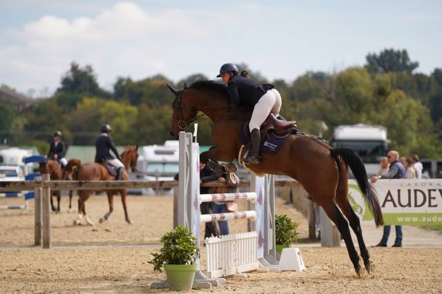 Jument cso et dressage