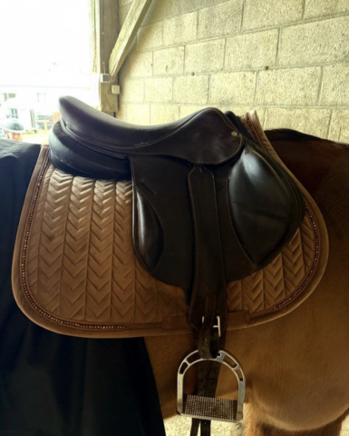 Selle forestier boecklo