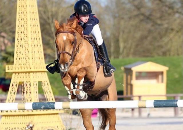 Poney concours cso p élite / as 2