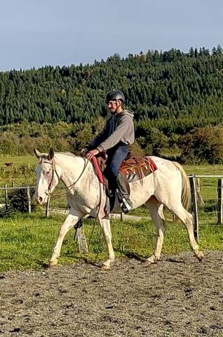 Cheval loisir
