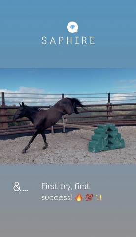 Ponette grand d onc 6 ans 