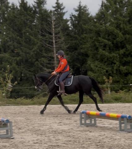 Ponette grand d onc 6 ans 