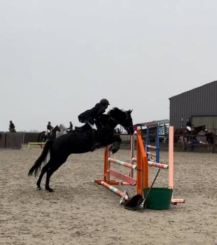 Ponette de sport 148 cm 6 ans onc