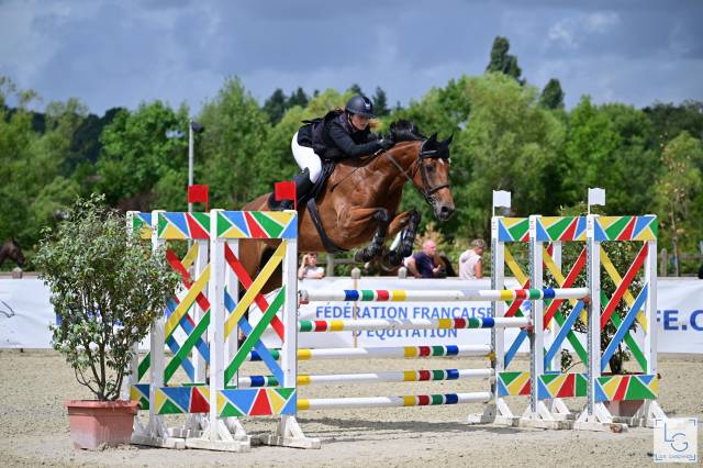 Jument 8 ans sf - 1.68m