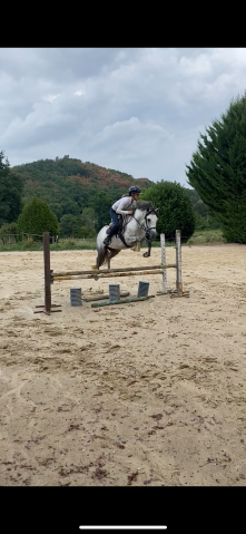 Poney à vendre 