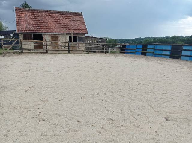 Barns de 5 boxs +++
