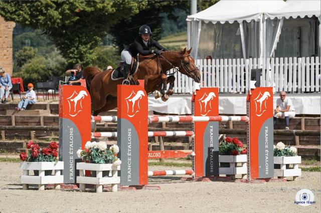 Cheval a vendre