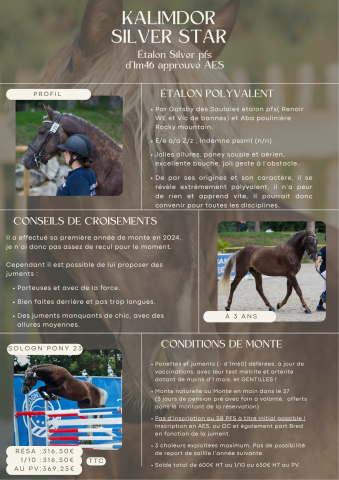 Kalimdor silver star : saillie étalon poney d silver approuvé aes