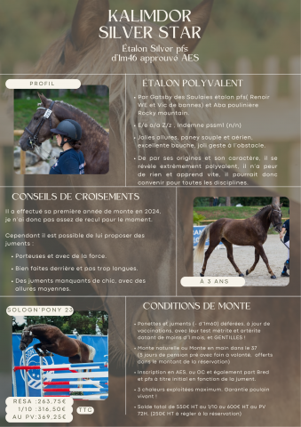 Kalimdor silver star : saillie étalon poney d silver approuvé aes