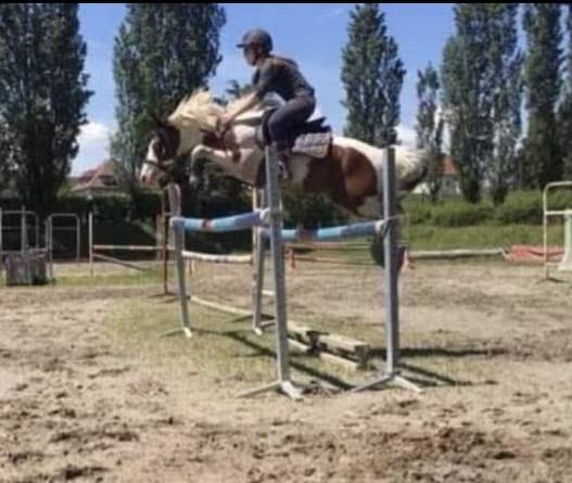 Ponette pie sport