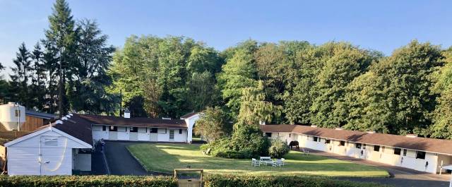 Places en pension et location boxes disponibles