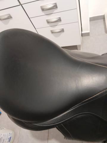 Selle childeric