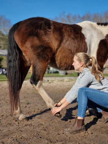 Clémence richel - ostéopathe équin