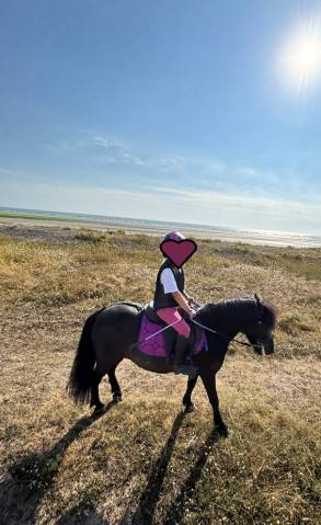 Poney a section b