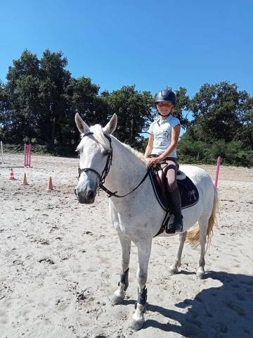 Ponette d à vendre