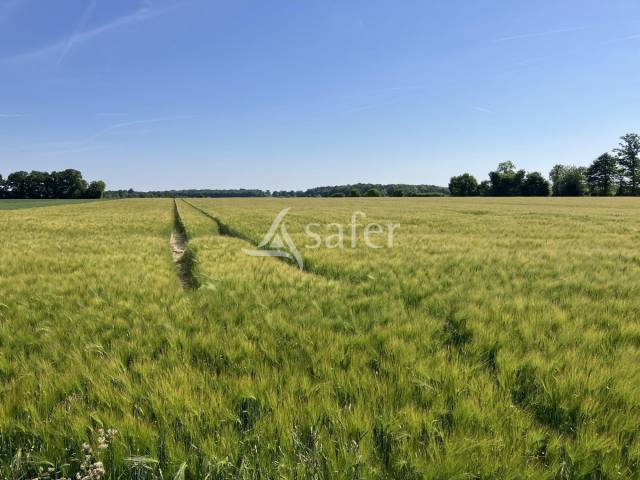Recherche investisseur