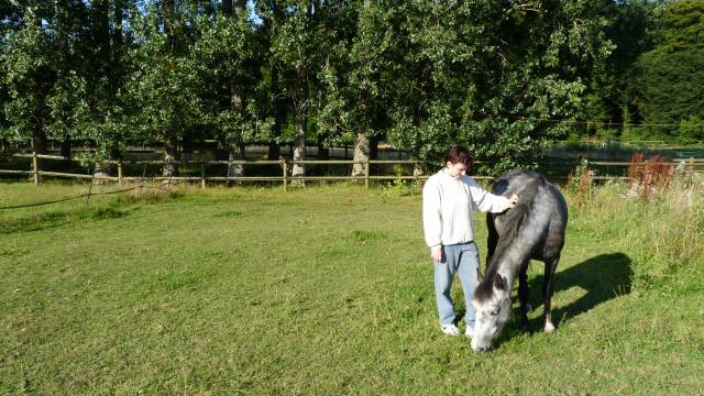 Hope, croisée welsh connemara