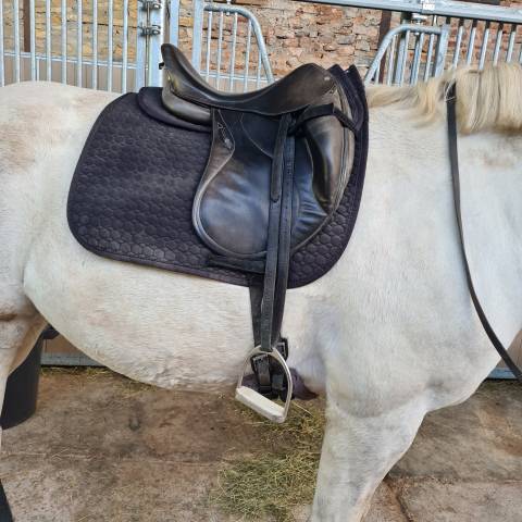 Selle dressage belloir