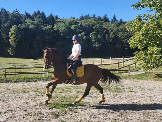 Kentador td - pre - 5 ans