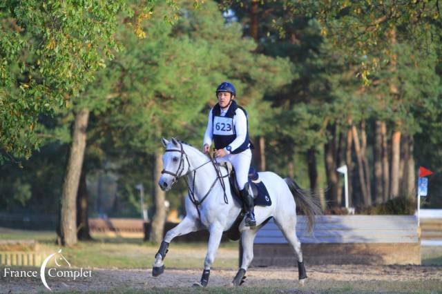 Jument de sport - cce cso dressage
