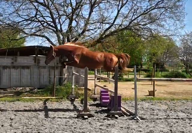 2ans avec un mental de guerrier