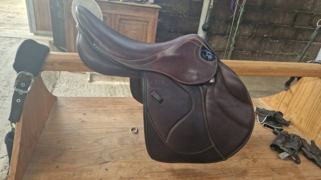 Selle mixte stubben 2024