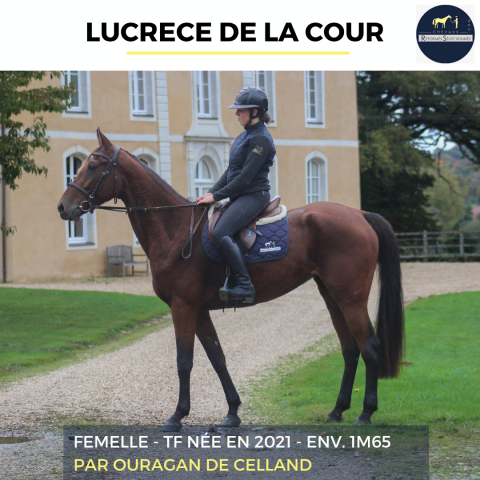 Lucrece de la cour - tf - 4 ans