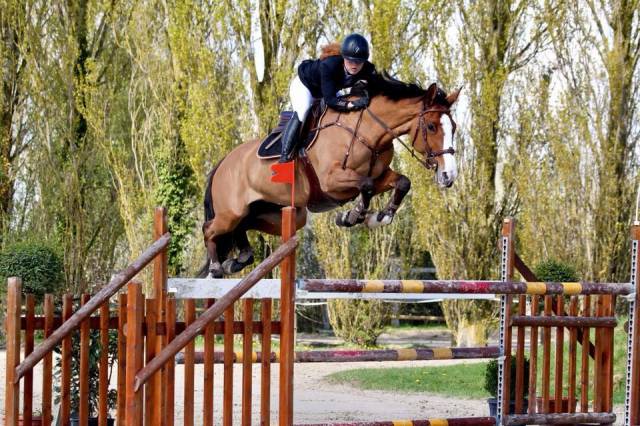 Poulinière sf cassini ii x voltaire souche sf l'amour d