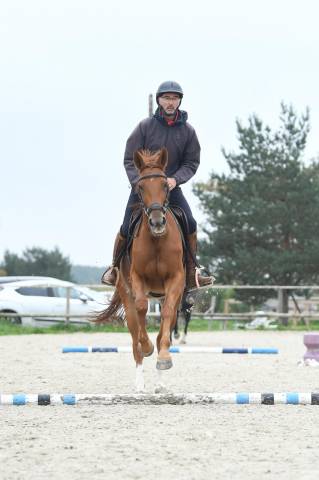 Jument 6 ans amateur 1 / elite