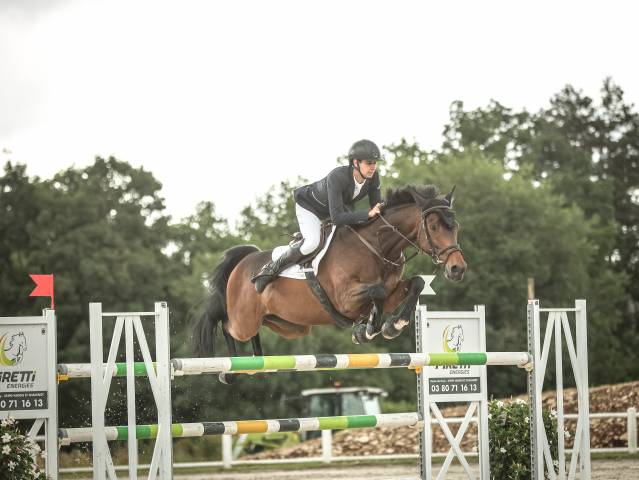 Cheval de compétition 8 ans - pro 2, amateur élite