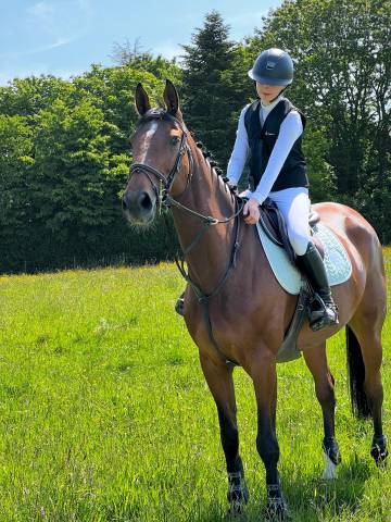 Jument selle français 10 ans cso 125