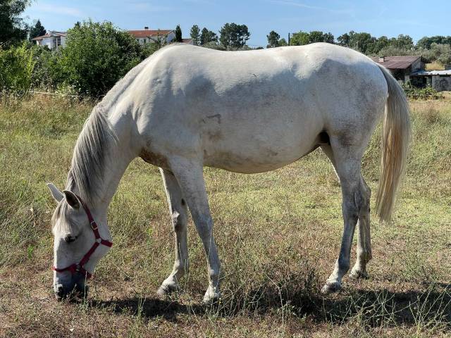 Olivia, grande soeur, cherche prairie verdoyante