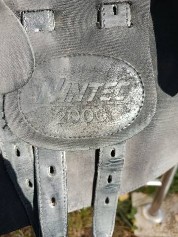 Selle wintec 2000 17.5
