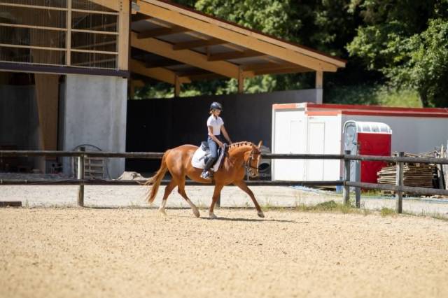 Magnifique ponette first d'ofée / fs champion de luxe