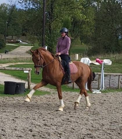 Super hongre 7 ans par sezuan niveau st georges