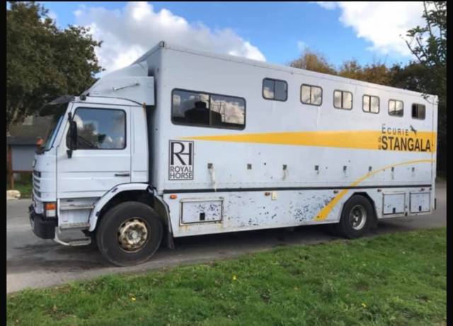 Camion chevaux scania 93m