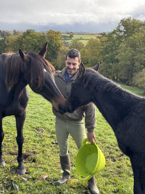 Pouliniere ou mère porteuse
