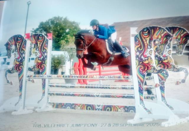 Poney cso 7 ans