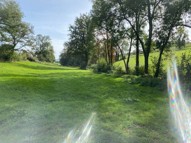 Pension pré  à 1/2 heure de lyon