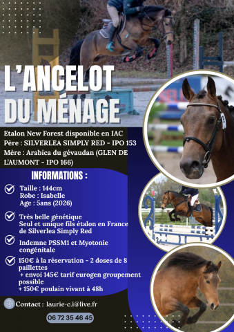 L'ancelot du ménage : saillie étalon new forest isabelle l'ancelot du ménage