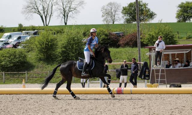 à vendre jument lusitanienne