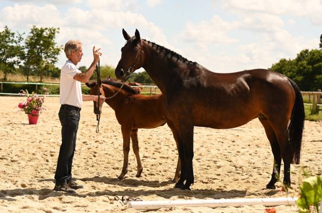 Poulinière i'm manathis 