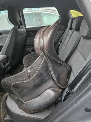 Forestier dressage 2002