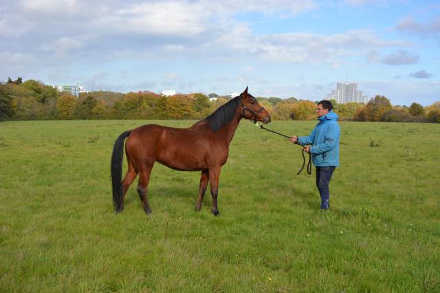 Ponette 4 ans par pawnee